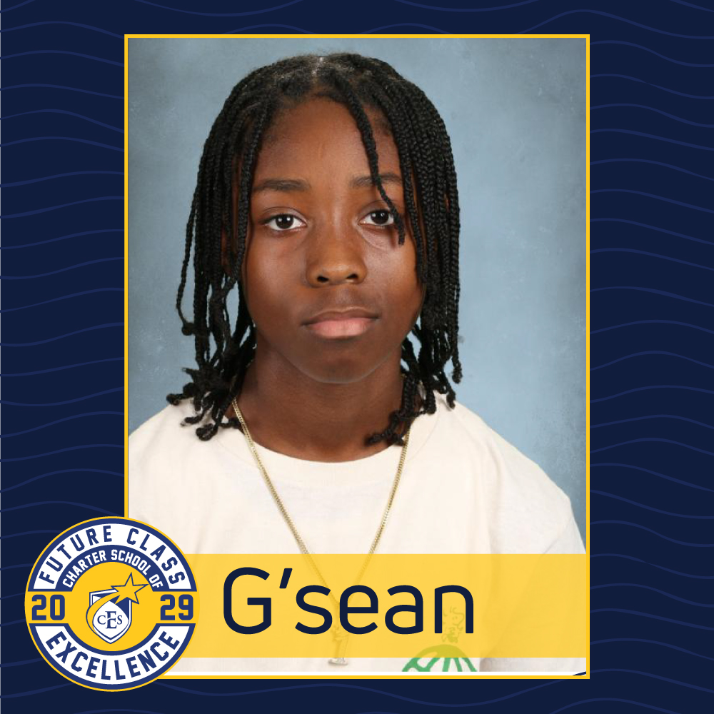 t-gsean.jpg